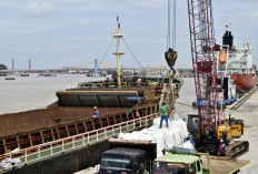 Menyemai Harapan dari Dermaga, Peran Strategis PTP Nonpetikemas Palembang bagi Industri Pupuk Nasional