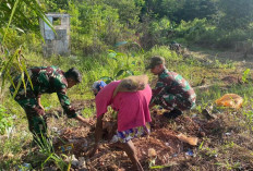 Dukung Program Reboisasi Pemerintah, Satgas Yonif 144 Jaya Yudha Tempuh Langkah Ini