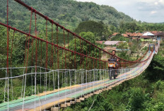 Pesona Jembatan Gantung Pagar Batu di Lahat, Terpanjang Nomor 2 di Indonesia!
