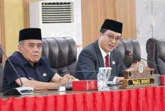 Ketua DPRD Ogan Ilir Tegaskan Terbuka Setiap Masukan dan Kontrol Sosial dari Masyarakat