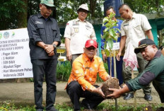 Peringati Hari Menanam Pohon Indonesia, Pj Sekda Buka Acara Penanaman Pohon