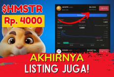 Gunakan Trik Jitu Hamster Combat! Dapatkan Koin Jutaan Rupiah Setiap Harinya, Buruan Download