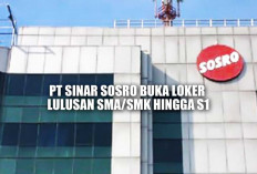 PT Sinar Sosro Buka Loker untuk Lulusan SMA/SMK dan S1, Cek Posisi dan Syaratnya di Sini!
