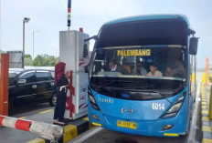 Hingga H-1 Lebaran 2024, Ini Informasi Terkini Volume Lalu Lintas di Jalan Tol Trans Sumatera
