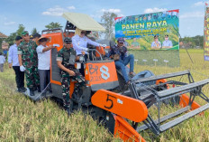 Banyuasin Perkuat Status Lumbung Pangan, Hasil Panen Padi Capai 1,2 Juta Ton