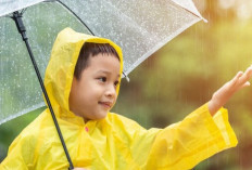Cara Pintar Menghadapi Musim Hujan dengan Bijak, Yuk Simak Tips dan Triknya!