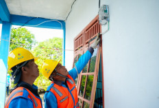 Kado Indah Ramadan, Listrik PLN Resmi Menyala di Dusun Sungai Aur Pedamaran IV