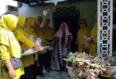 Datangi Satu Persatu Rumah Warga, Persit Koramil 405-07/Pulau Pinang Bagikan Hasil Panen