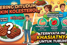 Sering Dituduh Bikin Kolesterol, Ternyata Ini Khasiat dari Konsumsi Daging Kambing dan Sapi untuk Tubuh