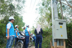 Dukung Visi Presiden Prabowo, PLN Targetkan Listrik Pedamaran IV Putar Roda Ekonomi Desa