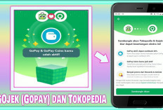 Ada Promo GoJek Weekend Kali Ini, Dapatkan Cashback Hingga 15 Persen Setiap Belanja di Tokopedia