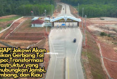 Jokowi Akan Resmikan Gerbang Tol Sebapo: Transformasi Infrastruktur, Hubungkan Jambi, Palembang dan Riau