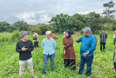 Tinjau Danau Batu Tanjung Raya, Siapkan Kawasan Wisata Alam Terpadu, Ini Pinta Bupati Lahat