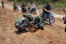 Ratusan Batang Pohon Bambang Lanang Ditanam Kini Capai 100 Persen, Ini Penampakannya