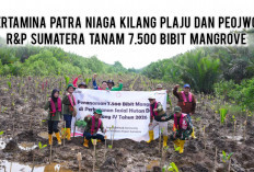 Gandeng Project R&P, Pertamina Patra Niaga Kilang Plaju Tanam 7.500 Bibit Mangrove!