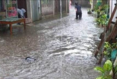  Antisipasi Banjir, Semua  Warga Harus Bersinergi Aktif Jaga Lingkungan
