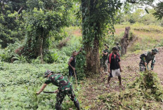 Bantu Warga Dalam Pembukaan Lahan, Apa Tujuan Satgas Yonif 144 Jaya Yudha di Perbatasan
