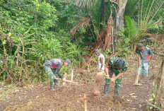 Ternyata Begini Cara Satgas Yonif 144 Jaya Yudha Wujudkan Ketahanan Pangan di Perbatasan