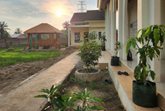 Ponpes Mina Palembang Buka Pendaftaran Santri Baru 2026-2027, Tes Gelombang I Digelar 1 Juni 2026