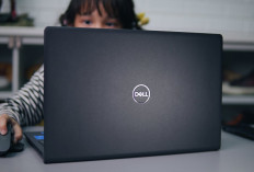 4 Laptop Dell Terbaik untuk Kerja dan Gaming, Performa Tinggi, Baterai Tahan Lama, dan Desain Stylish