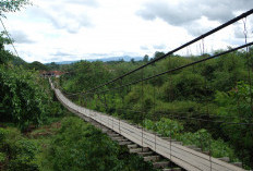 Jembatan Gantung Terpanjang di Sumatera Ternyata Ada di Desa Ini, No. 2 di Indonesia, Berapa Ya Panjangnya? 