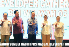 Ga Main-Main! Pemprov Sumsel Bersama BNI Punya Cara Cerdas Wujudkan Program Nasional Bangun 3 Juta Rumah