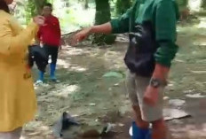 GAWAT! Diduga Karyawan PT SMS Usir Warga dari Lahan Miliknya, Kok Bisa Ya