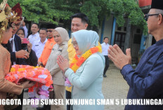 Jembatan Temelat Segera Diresmikan, Upaya Elvaria DPRD Sumsel Percepat Akses Mudik Lebaran 2026