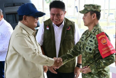 Presiden Prabowo Soroti Karhutla Sumsel, Pangdam II Sriwijaya Paparkan Pemetaan Titik Panas