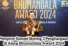 Elen Setiadi Luar Biasa! Pemprov Sumsel Borong 3 Penghargaan di Ajang Bhumandala Award 2024