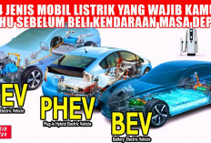 Biar Gak Kudet! Ini Dia 4 Jenis Mobil Listrik yang Wajib Kamu Tahu Sebelum Beli Kendaraan Masa Depan