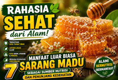 Rahasia Sehat dari Alam! 7 Manfaat Luar Biasa Sarang Madu sebagai Sumber Nutrisi dan Penunjang Kesehatan