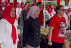 Siti Atikoh Ganjar Pranowo Sapa Ribuan Kader Posyandu, Janjikan Ini kepada Warga Palembang 