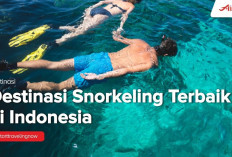 Pengalaman Baru! Rekomendasi 6 Tempat Snorkeling, keindahan Bawah Laut Wajib Coba