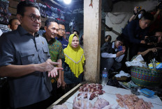 Sidak Pasar KM 5 Palembang, Mendag Budi Santoso Temukan Sedikit Kenaikan Harga Sembako