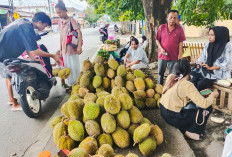 Januari Diprediksi Puncak Musim Durian, Tapi Akses Jalan Kota Lahat Sudah Ramai Para Pedagang Buah