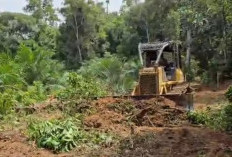 KABAR GEMBIRA, Pemkab Lahat Buka Akses Jalan Usaha Perkebunan Sepanjang 3 KM, Catat Disini Lokasinya