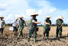 Danrem Gapo Hadiri Tanam Perdana Cetak Sawah Rakyat di Desa Ini