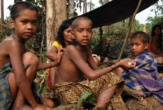 Suku-suku di Provinsi Riau: Wilayah Tanah Melayu dan Tempat Awal Lahirnya Bahasa Indonesia