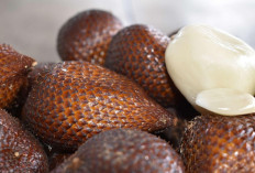 5 Daerah Penghasil Salak Terbanyak di Sumatera Selatan 2025!