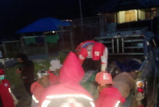 Tragis! Serangan Bersenjata Sasar Pekerja Proyek di Tolikara, 5 Orang Tewas