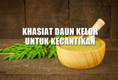 Masih Dirahasiakan! 5 Khasiat Daun Kelor Untuk Kecantikan Ternyata di Luar Nalar, Buruan Buktikan Sekarang