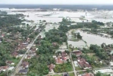Waspada Banjir Susulan di OKU Timur, BPBD Pantau Ketat Luapan Sungai Muara Balak 