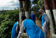 GOTONG ROYONG! Pemdes Lubuk Lungkang Lahat Bersih-bersih Lingkungan Pemukiman dan Aset Desa
