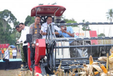 Dukung Swasembada Pangan Presiden 2026, Polda Sumsel Juara Serapan Jagung Nasional, Ini Buktinya
