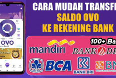 Cara Mudah Transfer Saldo OVO ke Rekening Bank, Praktis dan Aman!