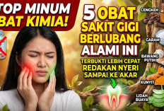 Stop Minum Obat Kimia! 5 Obat Sakit Gigi Berlubang Alami Ini Terbukti Lebih Cepat Redakan Nyeri Sampai ke Akar