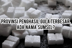 Jadi Andalan Nasional! Ini Provinsi Penghasil Gula Terbesar di Indonesia, Ada Nama Sumsel?