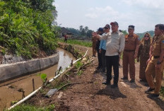 Sulap Tebat Mbahangan Jadi Ikon Agrowisata di Lahat, Ini Pinta Bupati kepada Diskan