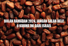 Bulan Ramadan 2024, Jangan Salah Beli! 6 Kurma Ini Dari Israel 